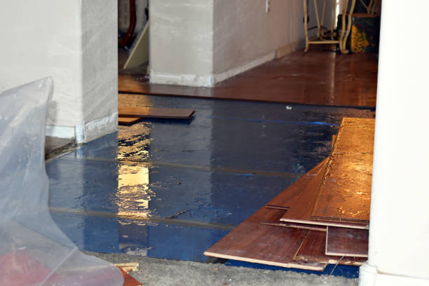 Professional Burst Pipe Cleanup technician working in Portage Des Sioux, MO